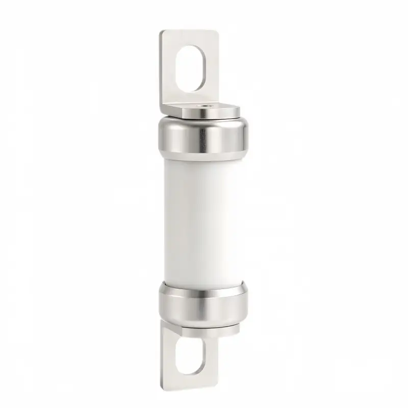750V DC Fuse 10-100A | GFEVT750 EV Fast Acting Fuse
